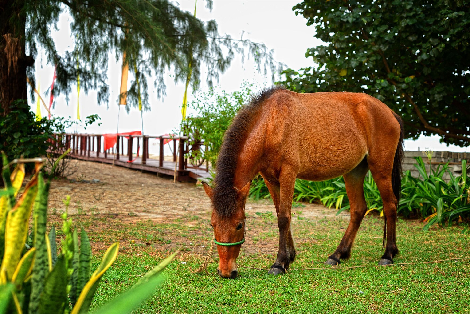 Nataya Round House Coral Bay Resort Kampot Bagian luar foto